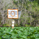 Manatee Zone