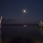 Moonlight Sky on the Ocklawaha