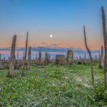 Moonrise over Old Ocklawaha