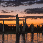 An Ocklawaha Sunset Skyline