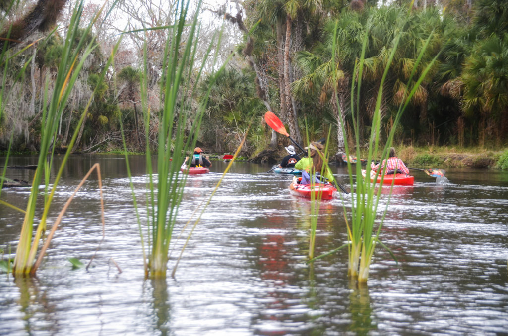 Paddling on the Wekiva River