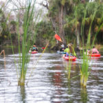 Paddling on the Wekiva River