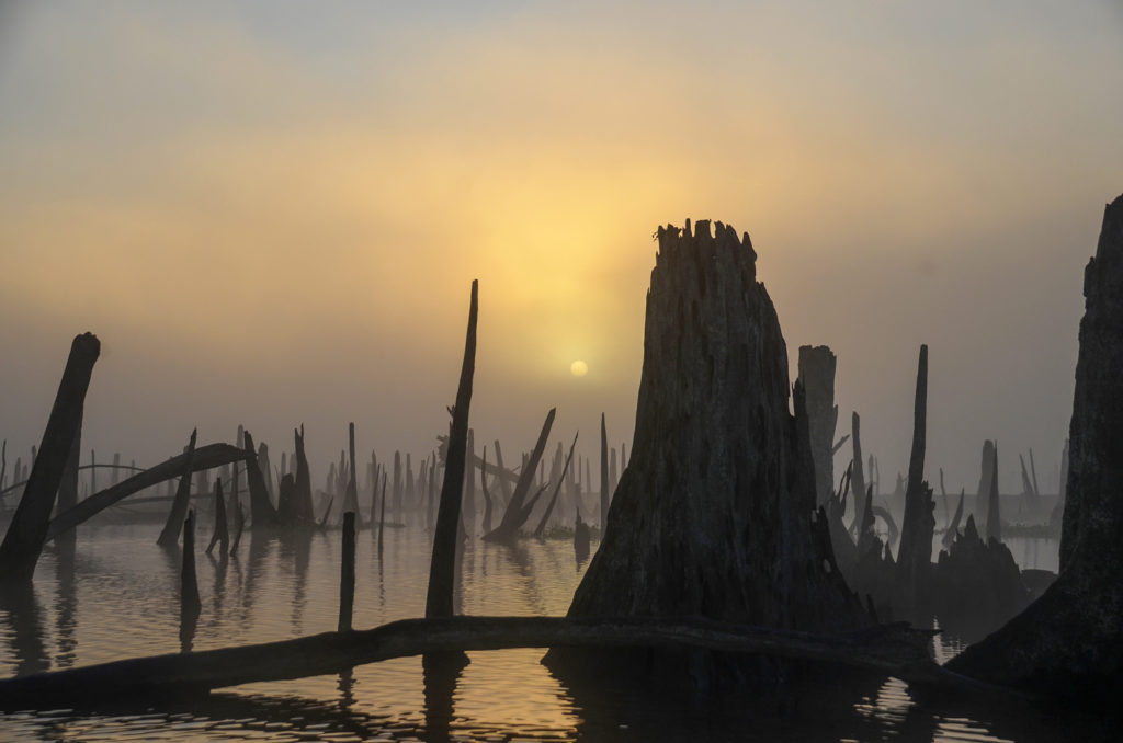 Sunrise through the Haze