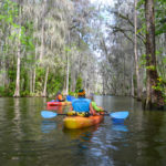 Beautiful Dora Canal