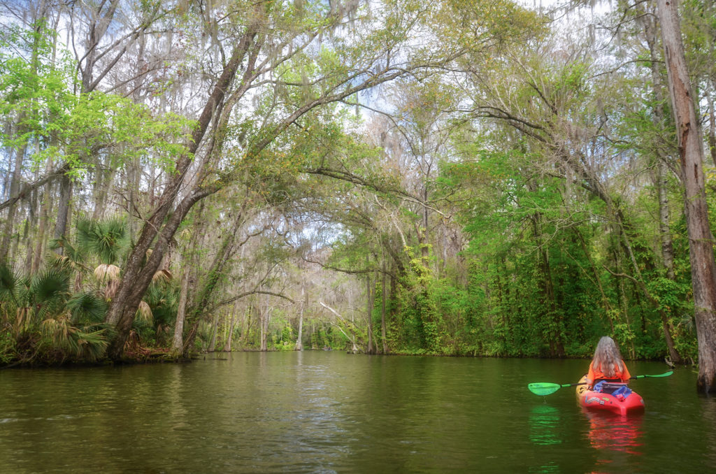 Donna Paddles Dora Canal