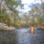 Entering Olustee Creek