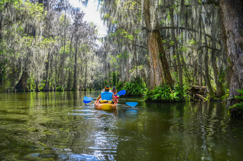 Paddling Dora Canal