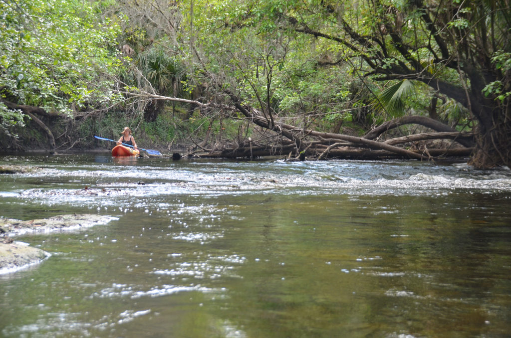 Approaching a shoal - Alafia River