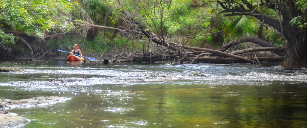 Approaching an Alafia River Shoal