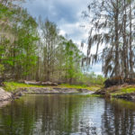 Bend in Sweetwater Creek