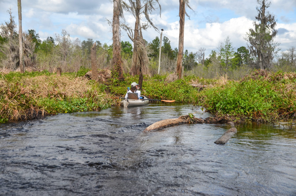 Blockage on Deep Creek