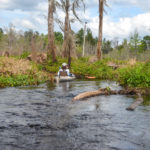 Blockage on Deep Creek