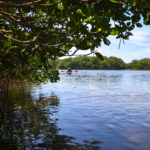 Paddler on Cockroach Bay