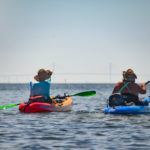 Observing the Skyway Bridge