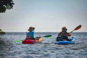 Observing the Skyway Bridge