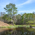 Enter Sweetwater Creek