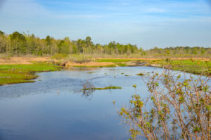 Entrance to Sweetwater Creek