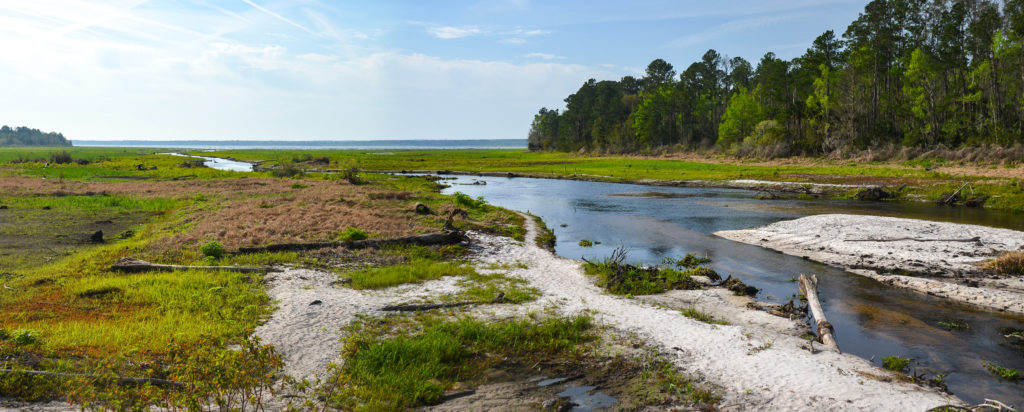 Flow to the Ocklawaha River