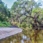 Little Manatee River Beach