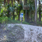 Owl Rest Stop - Alafia River