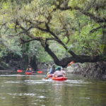 The Scenic Alafia River