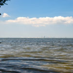 St. Pete viewed from Cockroach Bay