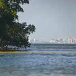 St. Petersburg through the mangroves