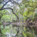 The Alafia River