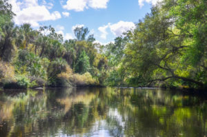 The Little Manatee River