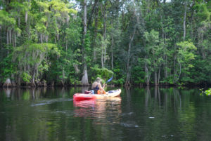 Entering the Ocklawaha River