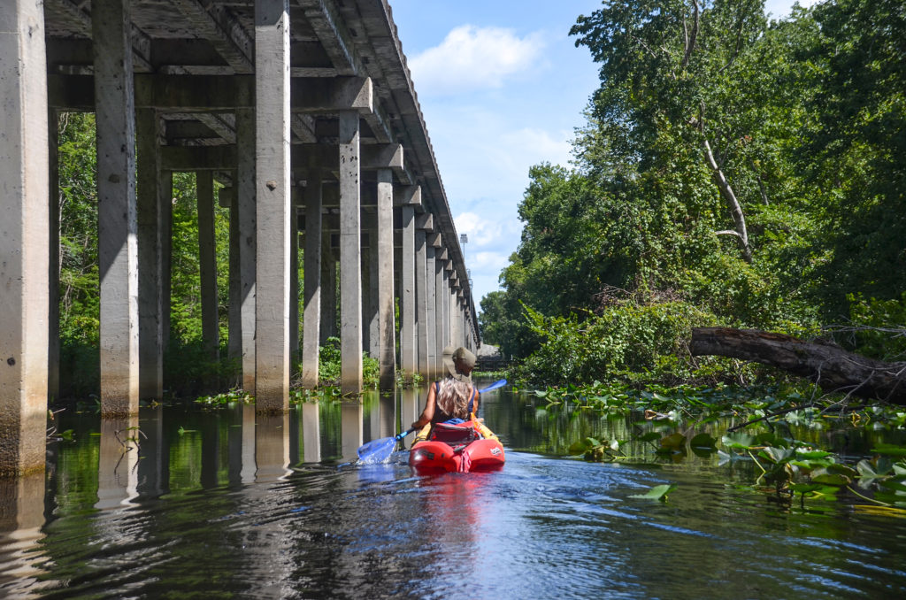 HWY 19 Bridge at the launch