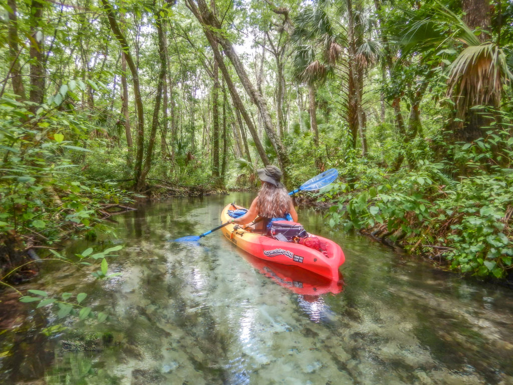 Donna paddles Indian Creek