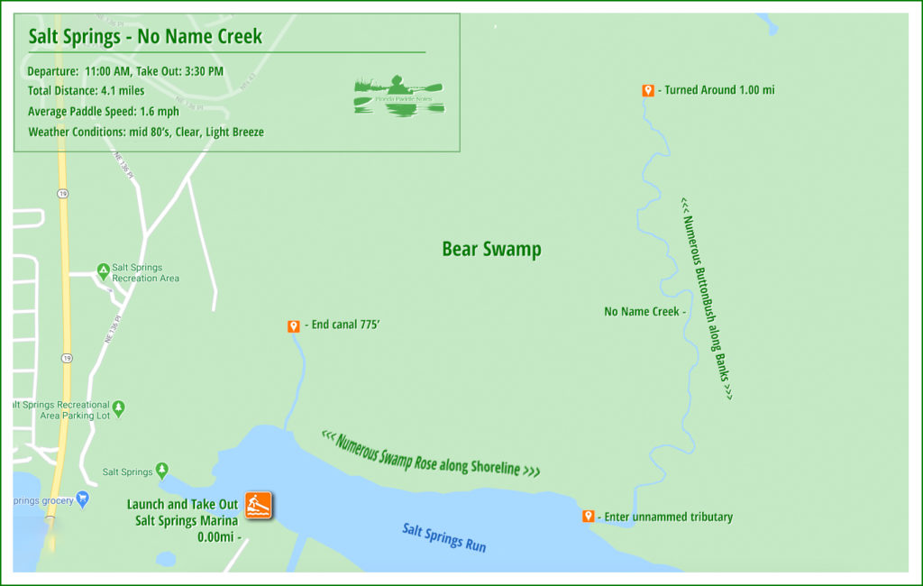 Paddle Map - Salt Spring Run and unnamed creek