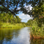 Downstream View of Lower Juniper Creek