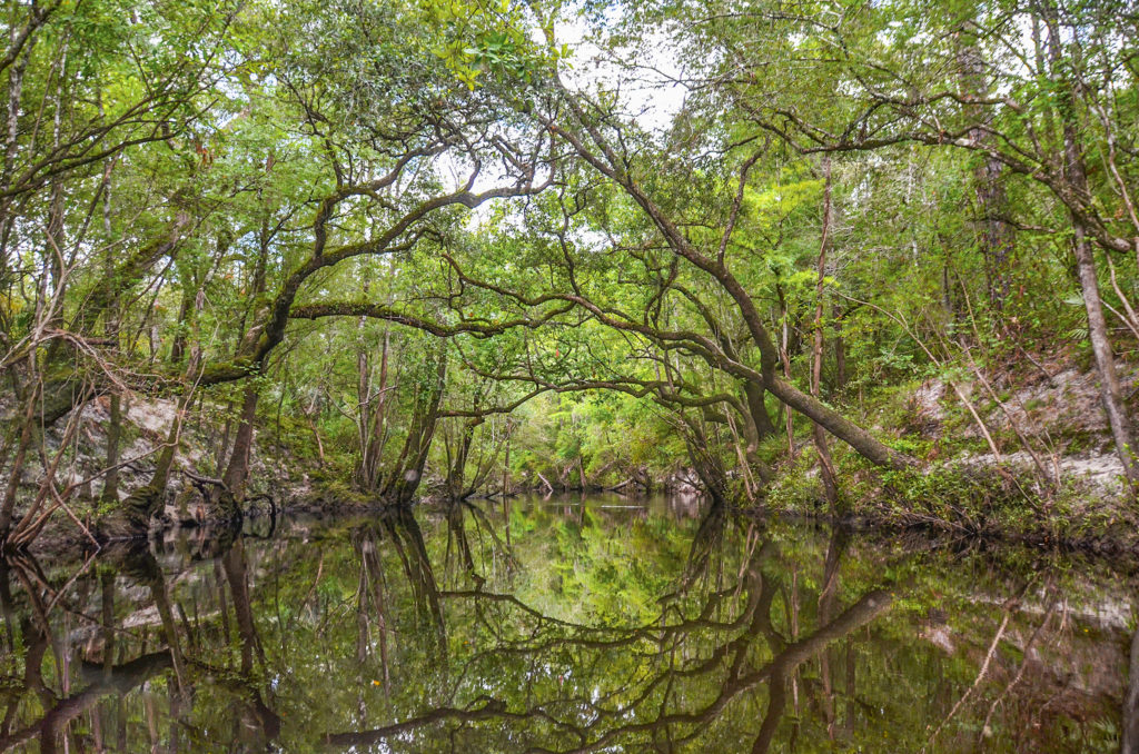 North Fork Black Creek