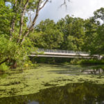 Palatka to St. Augustine Trail