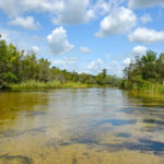 Shallows - Lower Juniper Creek