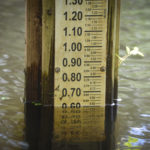 Water Gauge - 0.60' below Mean High Water Mark