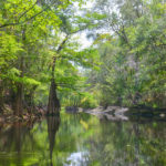 Leaving Olustee Creek