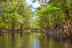 Olustee Creek