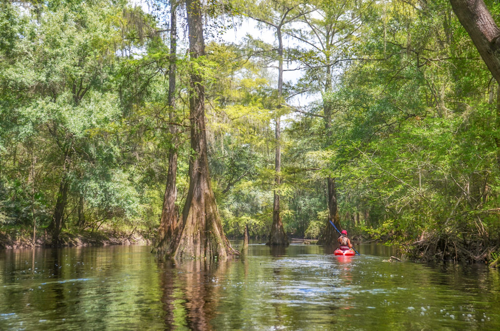 Paddling the Santa Fe River at Oleno