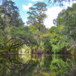 Upper Santa Fe River