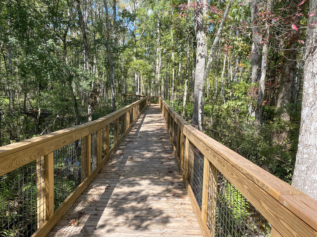 Boardwalk to the launch