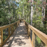 Boardwalk to the launch