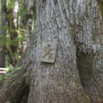 Durbin Creek Mileage Marker