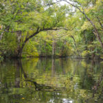 Durbin Creek Overhang