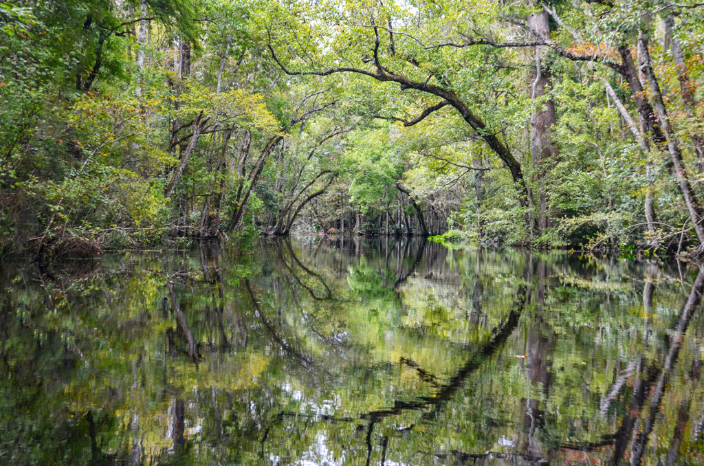 Durbin Creek Reflections