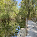 Looking up into Durbin Creek from the launch