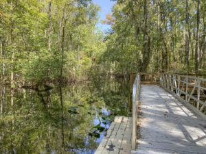 Looking up into Durbin Creek from the launch