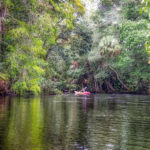 The Ocklawaha River